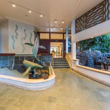 @ Marbella Lane - Oceanview Suite Steps To Beach 檀香山 外观 照片